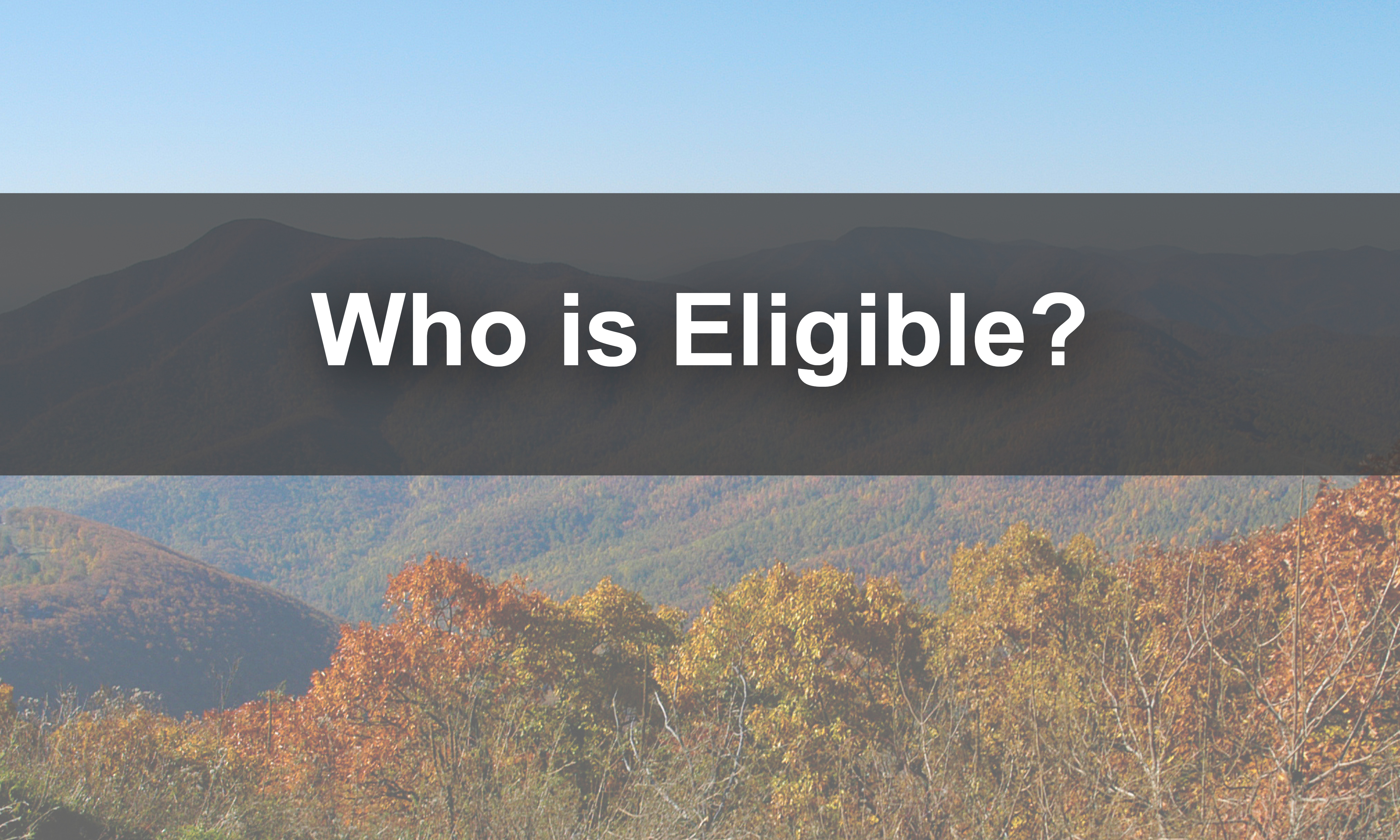 Link to eligibility requirements